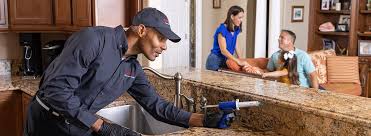 Best Real Estate Pest Inspections  in Kapaa, HI